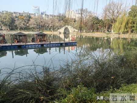 领导关心员工，才能多有威信！