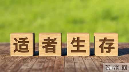 如何在销售行业活下去，而且活得风生水起呢？