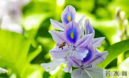 子女没出息，母亲往往是根源：尤其是这3种妈妈，再忙也要看看