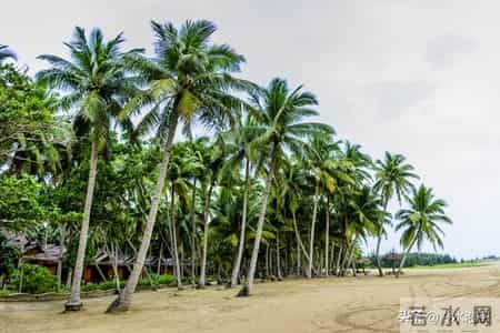 记住！心狠可破万局