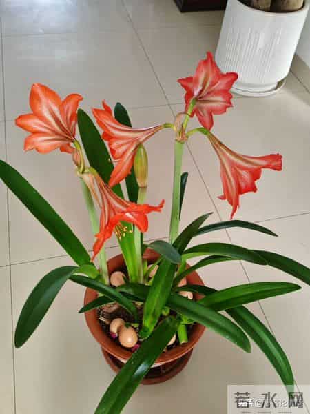 父母坚决不能为儿女做的三件事儿，一定要记住