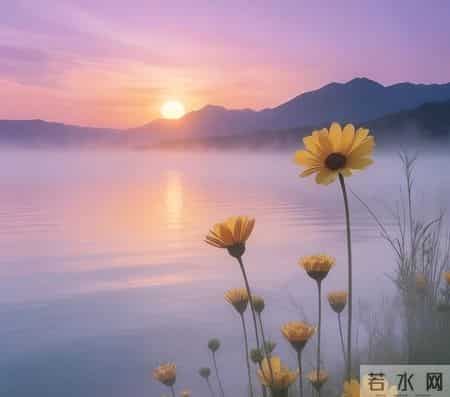 一个家庭最大的悲哀，不是穷，是五六十岁的父母“吃力不讨好”