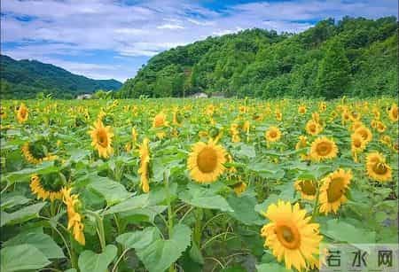 【聪明妈妈从不打骂孩子】