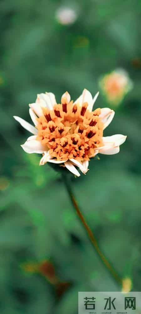 老了才明白的现实：儿媳妇的心捂不热，隔代的孙子也打不得