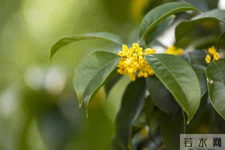 父母别再自我感动了：子女有这4个细节，其实是没把你放在心上