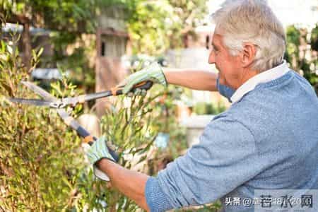 六十岁的你，还有劳动力，还会继续打工吗？