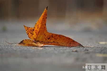 人过七十，最大的聪明是“薄情”：哪怕亲戚再亲，也不要主动