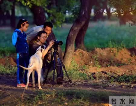 瞰·阎良——2025年度职工居民门诊慢性病零星报销工作已启动