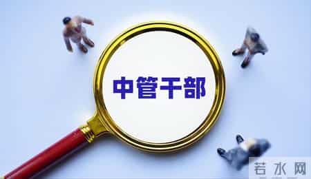 中管干部 vs 地方干部：4 大核心区别，一文看懂管理边界与发展差异