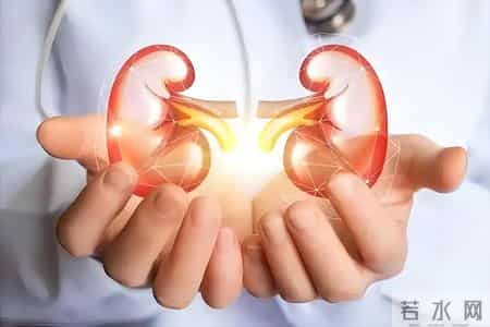 吃降压药不能吃橙子？再三提醒：降温后，吃降压药时远离“3物”