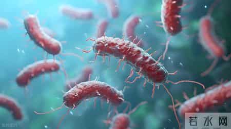 没病没痛，湖南61岁男子突然确诊胃癌！女儿：平时劝他总是不听