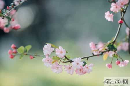 怪不得80岁老人不受子女待见，养老院3个真实现状，揭开残酷真相