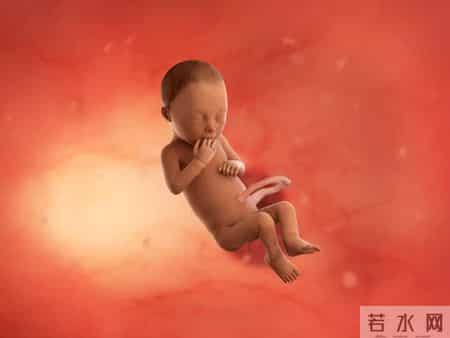 怀孕1-40周，胎儿发育每周变化！孕妈妈的干货科普