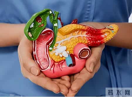 医生研究发现：经常吃豆类的老人，用不了多久，身体会有3大改善