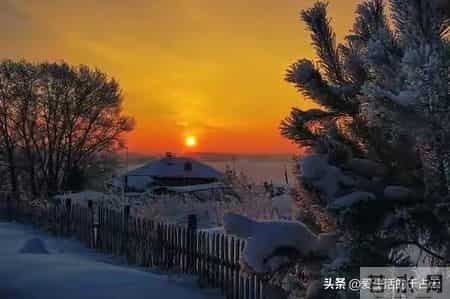 老了才懂：家有一宝是谎言，八十岁后，儿女渐生嫌弃心