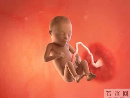 怀孕1-40周，胎儿发育每周变化！孕妈妈的干货科普