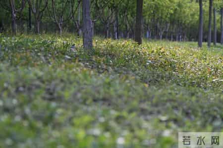 人到晚年，如果你只有一个儿子，请尽快做好这4个准备