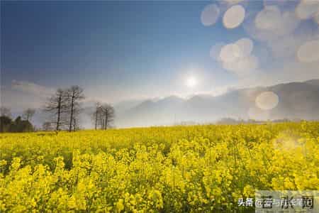 退休2年，我才发现，65岁以上还在拼命打工的人，基本上是这5种人