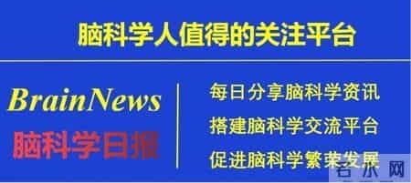 神经修复的“代谢开关”：给点“糖”，让受损神经再生长
