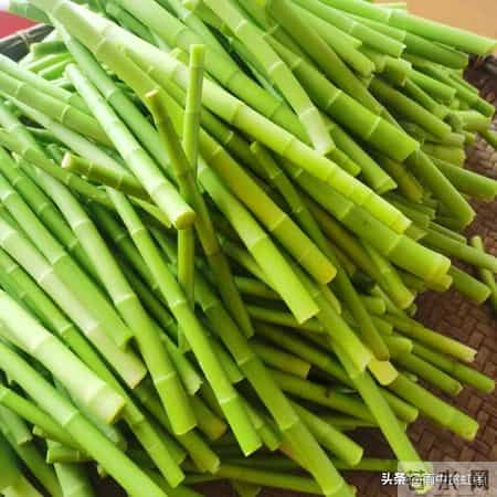 干了三年菜二道贩一天赚1000块突然不想干了