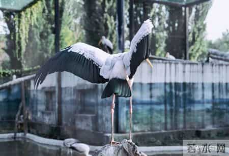 子女最大的悲哀，不是父母退休金低，而是父母60多岁有这八种行为