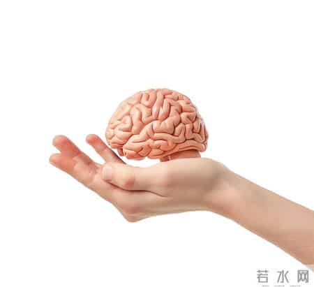 手指是脑梗“报警器”？脑梗前手指会出现这些症状，别大意！