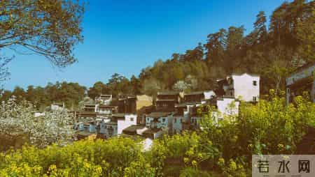 【我的退休故事】：过极简生活不是因为没钱，而是为晚年更有底气