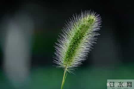 52岁退休阿姨，疯狂找活干的背后，藏着多少心酸