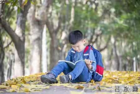 福报藏这里！转运从育儿开始！十句教育金句，藏着孩子一生的底气