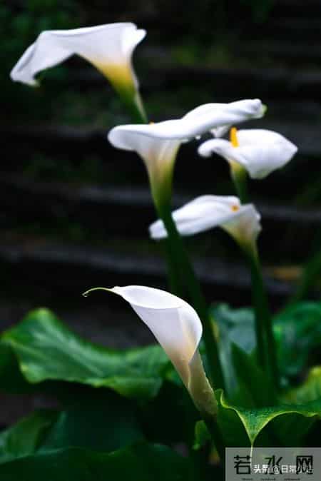 人到晚年，守住这几样才是真福气