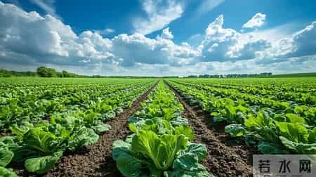 35岁男士确诊肾癌，提醒父母：冰箱久放的4种食物，及时扔掉