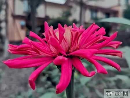 一个家庭过得好不好，看妈妈累不累就知道