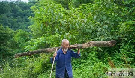 发现一个现象，很多农村人打工进厂交了社保，以后养老有着落了