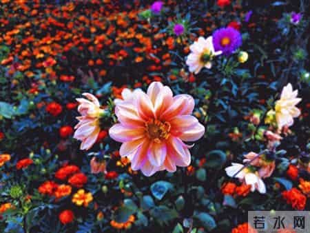 《培养孩子独立思考》的能力。