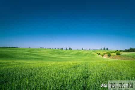 退休2年，我才发现，65岁以上还在拼命打工的人，基本上是这5种人