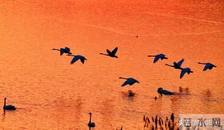 废掉一个孩子最快的方式，就是让他“按你的道理”长大