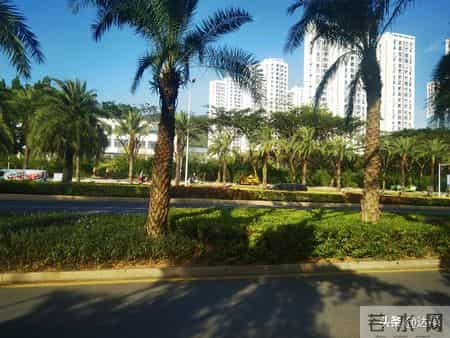 带孙两年，我从焦虑到佛系：放过自己，才是带娃最好的姿态