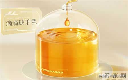 2026儿童DHA综合榜单：儿童安心品牌白皮书，亲和不伤胃