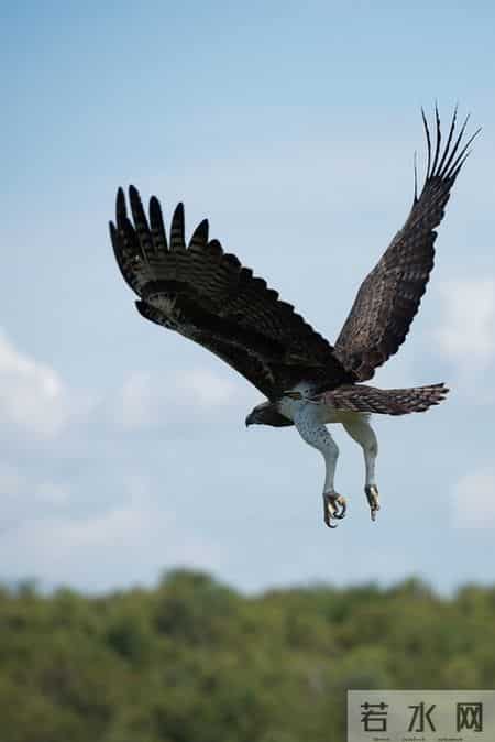 别做那颗“螺丝钉”：有用的人随时被换，有价值的人掌握定价权