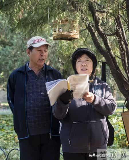 27年工龄领2956元，表姐大专却拿9000多，我的退休金去哪了？