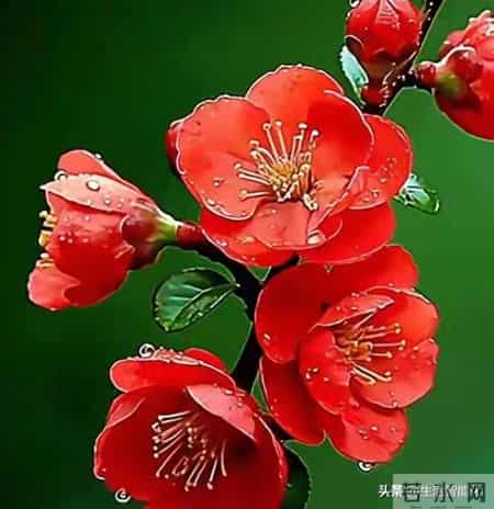 你的好运气藏在你的实力里，也藏在你不为人知的努力里