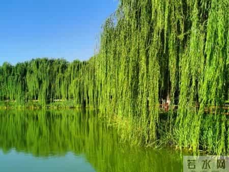 为孩子接住“干啥都顺”：不是迷信，是给成长装“顺劲”的小技巧