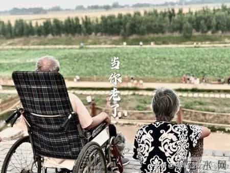 轮流式的养老，适应度还是无奈