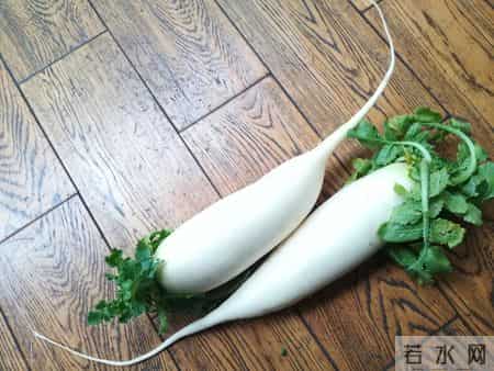 白萝卜被重新评价！医生：坚持吃白萝卜的人，肠道老化速度更慢？