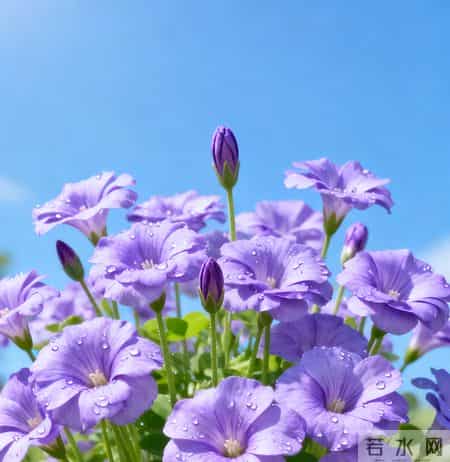 中年以后才明白，任何人请吃饭，必须先搞清楚三件事，不管去不去