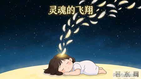 脊背上的摇篮曲：当“灵魂”被轻轻抓挠