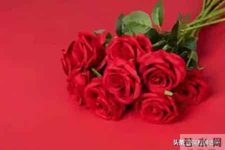 两性关系：单身老年人搭伙养老，一定要重视这几件事