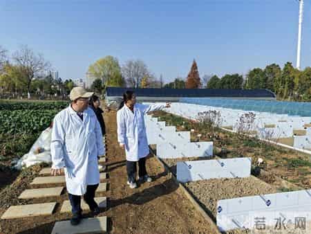 托举十大道地楚药底盘——专访湖北科技进步一等奖获得者、湖北中医大学刘大会教授团队