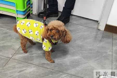 驾驭不了情绪的人是成不了大事的人