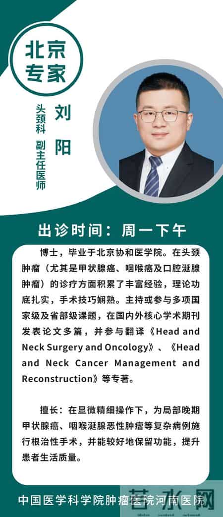 肿瘤诊疗“国家队”齐聚河南，周四义诊看这里